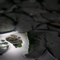 Morgane après un différent avec Merlin