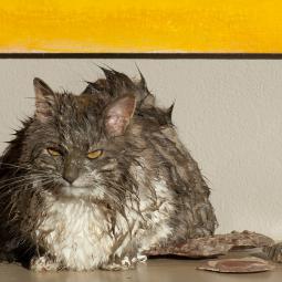 Après un léger désaccord avec un voisin