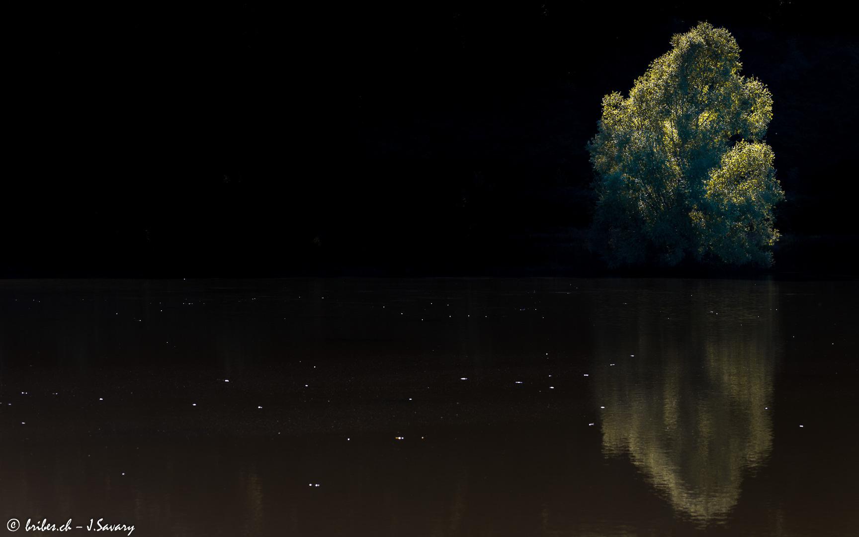 Le lac des sortilèges avec Merlin