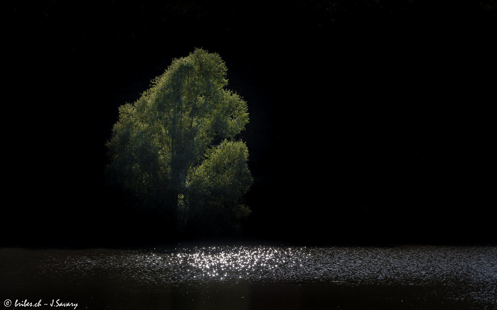 Apparition de Morgane