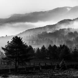 Brumes matinales au Bhoutan