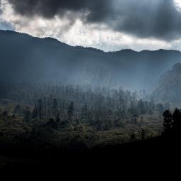 Entre 2 ondées au Bhoutan