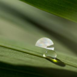 Packman: je vais te manger
