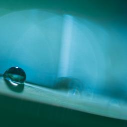 Goutte qui roule n'amasse pas mousse